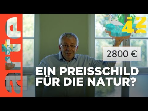 Was, wenn uns die Natur Rechnungen stellt? | 42 - Die Antwort auf fast alles | ARTE