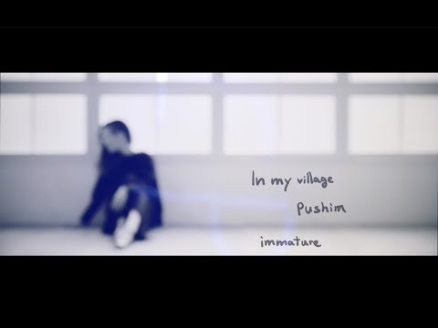 PUSHIM「In my village」MV