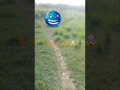 खेत एक प्रेम कथा 🤯😱🤣#morning #vlogs2 #fanishorts #trendingshorts #toilet