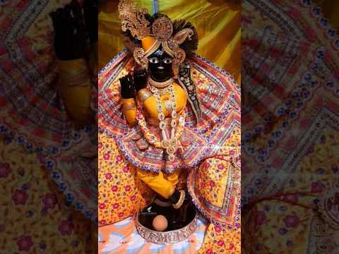 बोलो वृंदावन श्री बांकेबिहारी लाल की जय 🙏🏼🙌#virdavan #bankebihari #treanding #viralshort