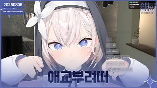 ✝️ 250806 애교청산 애교데이 + 공겜 ㅠㅜ