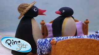 Pingu nechce s do postele