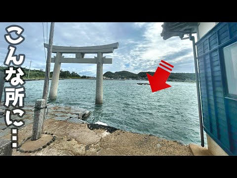 離島の海中鳥居の横には…