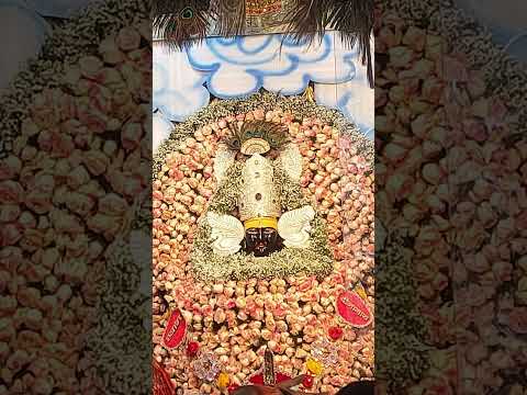 #Jai Shree Shyam Baba ji 🙏🏻🙏🏻🙏🏻🙏🏻🙏🏻🙏🏻🙏🏻🙏🏻🙏🏻