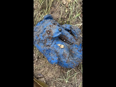 Nonprofit reunites children with stuffed animals lost in Texas floods