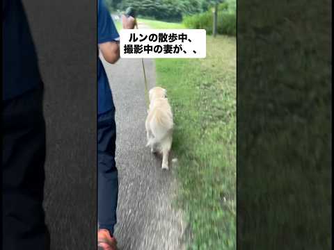 愛犬の散歩を撮影する妻が、、⁉