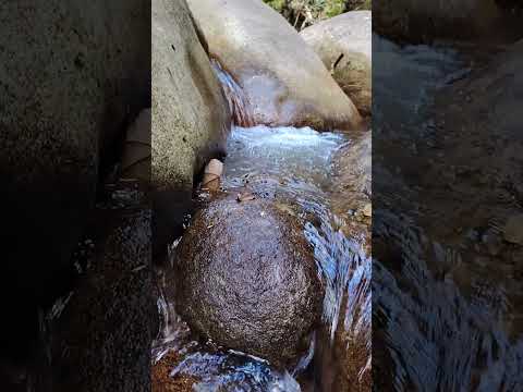 Keluhuran dan kesetiaan #nature #music