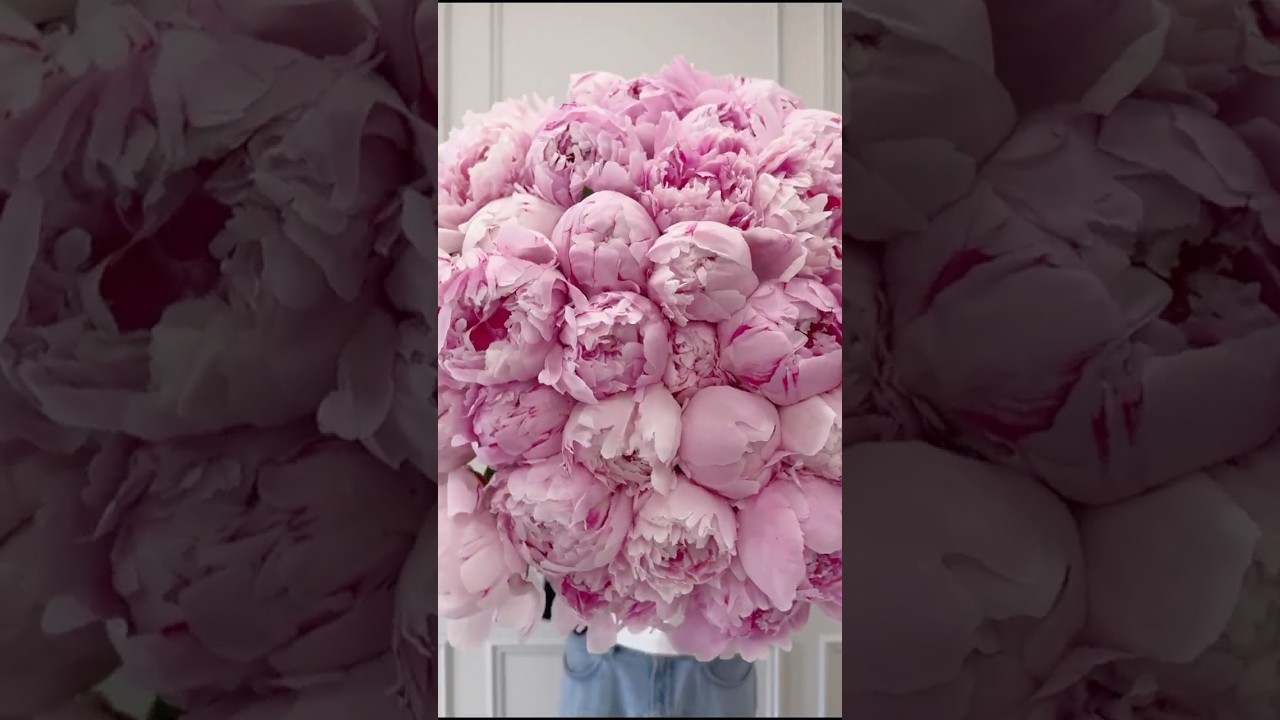 the opening frame of the video