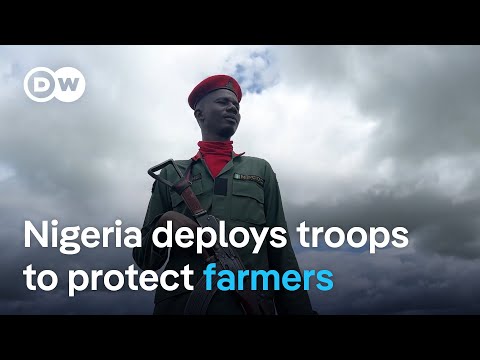 Boko Haram militants terrorize farmers in northeastern Nigeria | DW News