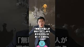X民がイスラム教徒に警鐘を鳴らす「日本にアフリカ人が増えたらこうなる」