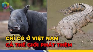 Quốc Tế THÈM KHÁT 7 Loài Động Vật Quý Hiếm Hơn Kim Cương Của Việt Nam - Top 1 Khám Phá