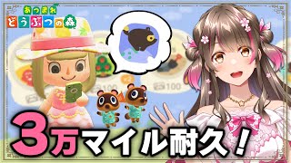 【あつ森】あらゆる方法で3万マイル貯めるぞ！何時間かかるのか？（時間操作は無し）【あつまれどうぶつの森 ライブ】
