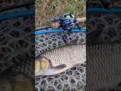 बहुत ही सुंदर लाजवाब ब्यूटीफुल चैनल को सब्सक्राइब करदेना