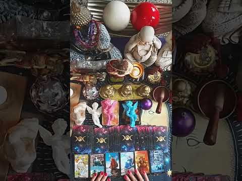 #548. TEL: +54 9 11 5056-0531. MAIL: tarotelmundoelsolylaestrella@hotmail.com