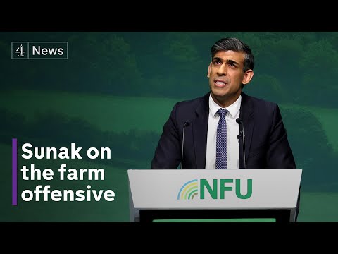 Sunak pledges help to farming industry ‘in crisis’