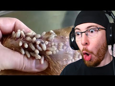 Try NOT to Feel Good Challenge! Satisfying 2019
