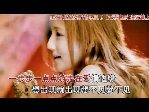 怀旧经典歌曲《波斯猫》发行于2004年2月,那时候的你多大了#8090经典怀旧 #百听不厌 #只有经历过的人才会懂 #经典老歌 #回忆经典