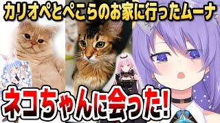 ムーナが語る、ぺこらとカリオペの家のネコの性格の違い【ホロライブID切り抜き/ムーナ・ホシノヴァ/兎田ぺこら/森カリオペ/日本語翻訳】