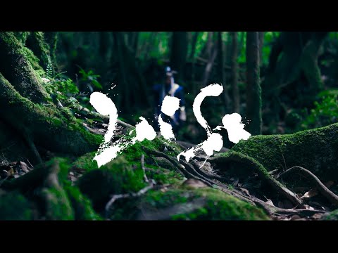 Life - Kento Mori (Official Video)