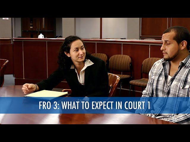 What to Expect in Court 1 of 2 (Final Restraining Order 3/7)