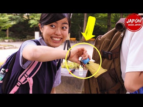 Cosas ILEGALES en Japón que todos hacen