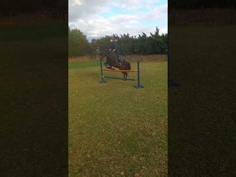 #horse #equestrianjourney #equestrianriding #horsegirl #horseriding #riding #pony