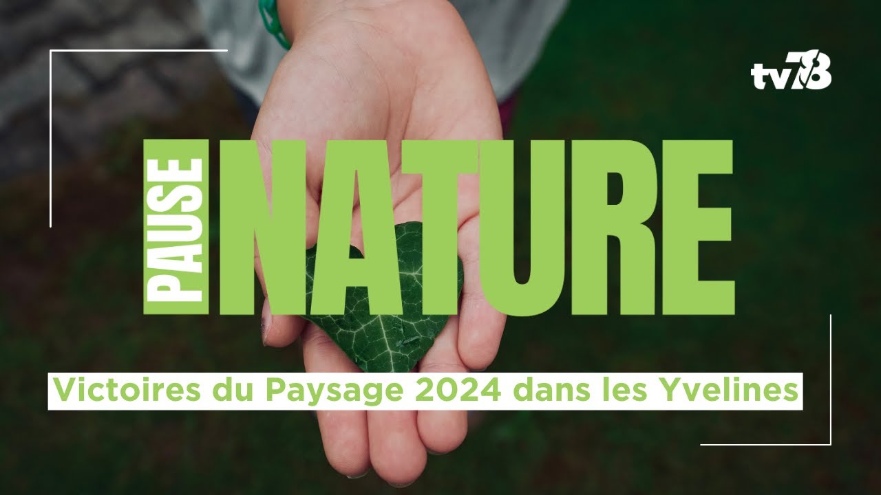 Réintroduire la nature en ville : les réalisations dans les Yvelines en 2024