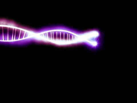 Loops music Intro Videos #4