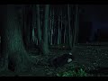 "Sleep Sweet" by Home Video