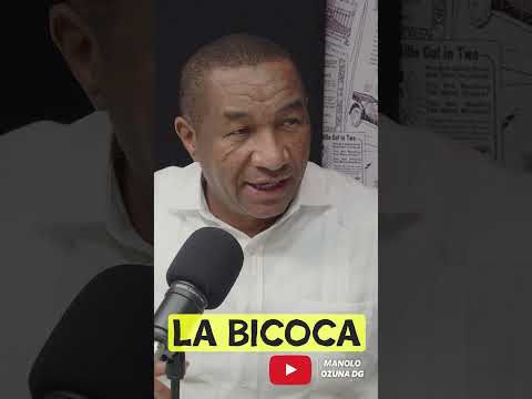 LA REALIDAD DE LA BICOCA EN LAS ELECCIONES