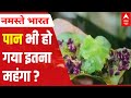This paan is worth Rs 1 lakh! | Special Report