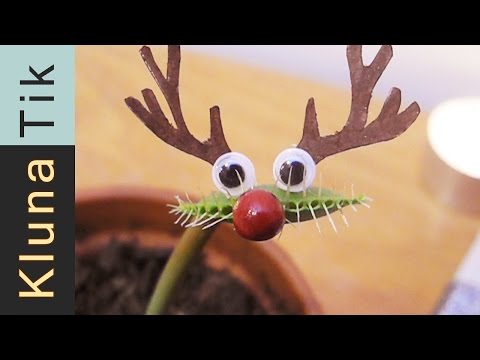 MERRY CHRISTMAS!!! Kluna Tik Dinner #45 | ASMR eating sounds no talk