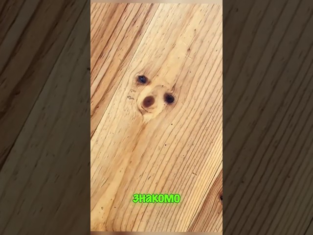 Тайные жители пола 🤣🤣