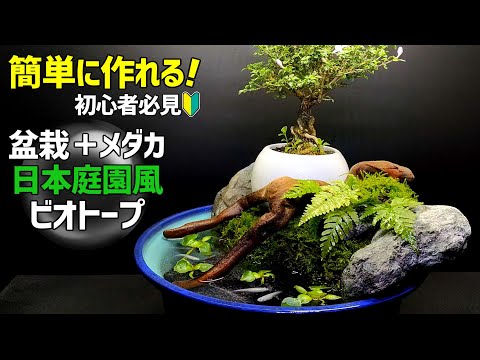 【超簡単】日本庭園風 睡蓮鉢ビオトープの作り方 /誰でも作れる本格的なメダカのビオトープ/和風ビオトープ