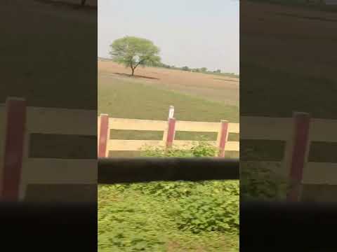 राजस्थान मिनी वियू # like rajashthan lovers #comment 🫶🇮🇳