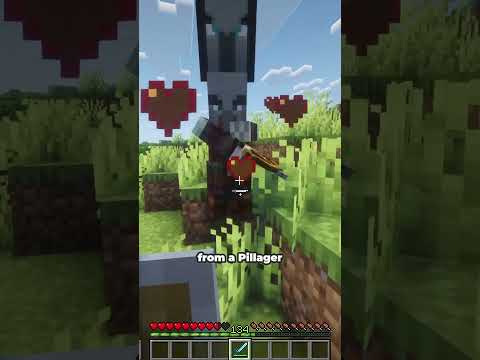 Are Illagers the Good Guys? #minecraft #minecrafttheory #liamvz