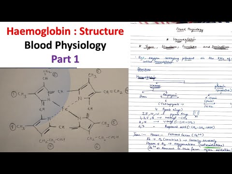 Haemoglobin Structure and its function #Blood Physiology part 1 Haemoglobin Structure #Function