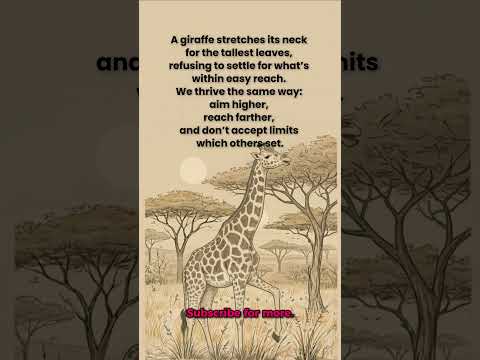 Stretch for Success...#shorts #motivation #naturelovers #success