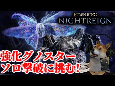 エルデンリング ナイトレイン 強化グノスターをソロ撃破する配信【ELDENRING NIGHTREIGN】