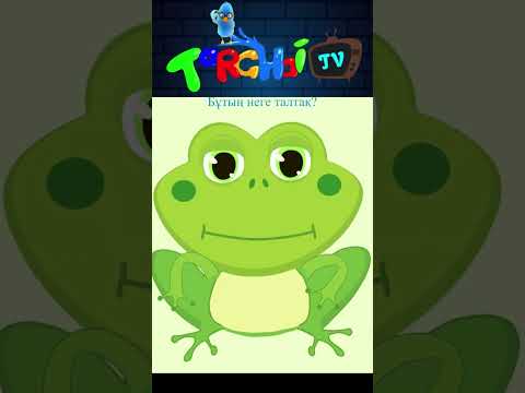 Бақа бақа балпақ/Torghai-TV