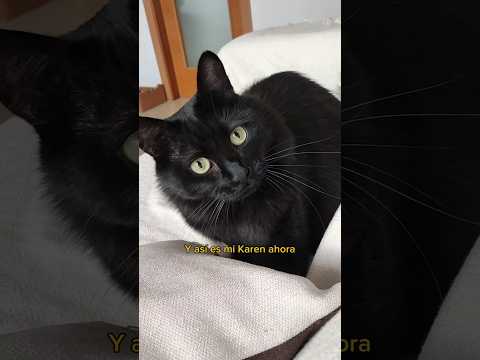 Nunca fue como dijo ser