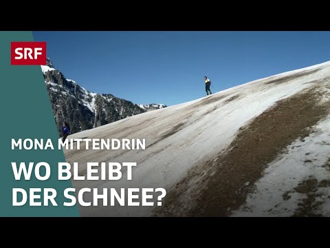 Im gefährdeten Skigebiet - Die Grimmialp trotzt der Krise | Mona mittendrin 2023 | SRF