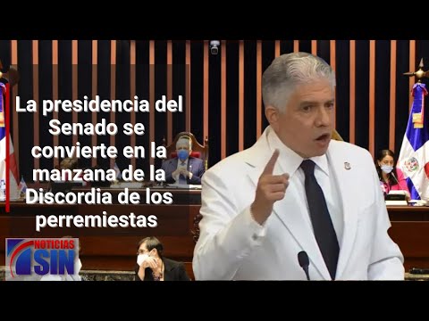 Insisten en escoger presidente del Senado del PRM