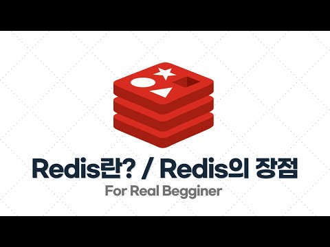 Redis 입문·실전 - 1.1. Redis란? / Redis의 장점