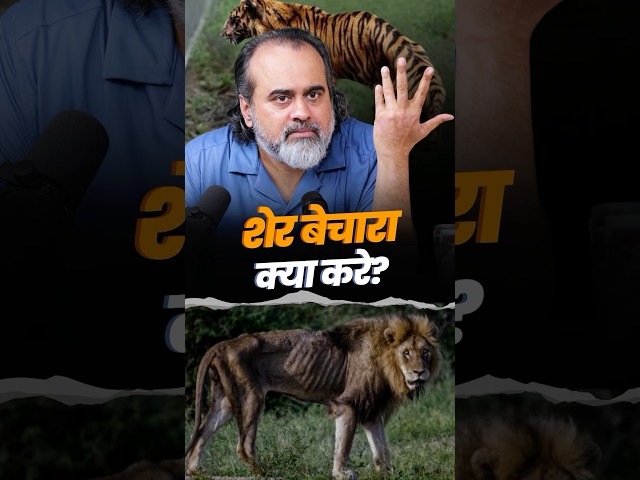 शेर बेचारा क्या करे? || आचार्य प्रशांत