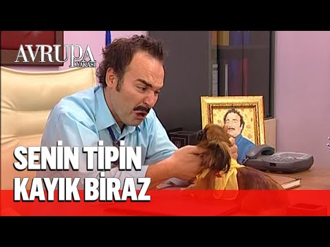 Burhan'ın minnak burnunu köpek kapıyor - Avrupa Yakası