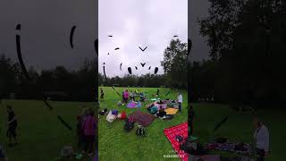 Miniatura video