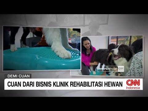 Cuan Dari Bisnis Klinik Rehabilitasi Hewan