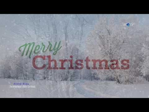 Happy New Year (André Rieu music)