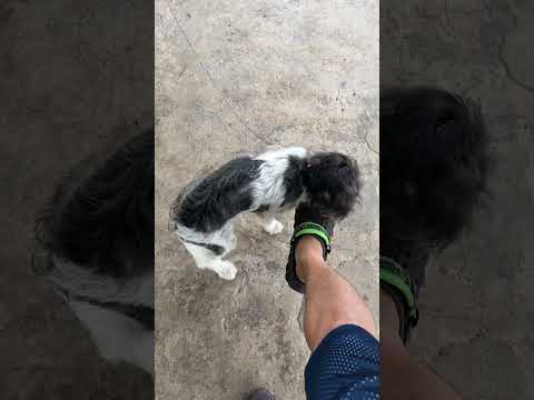 Ăn trưa #hellonewness